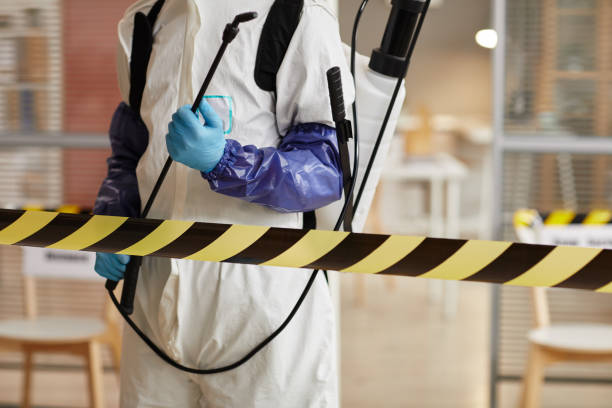 Professional Sewage Cleanup technician working in Canal Winchester, OH